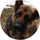 Kyle Sauvé profile picture